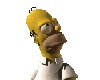 Homer